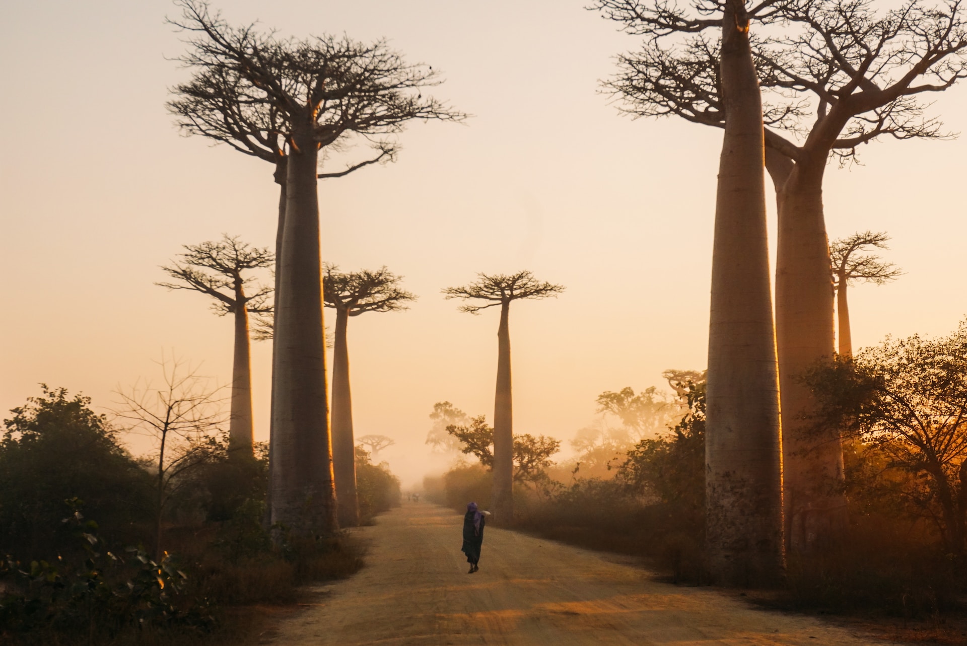 Odkrywaj Madagaskar w zgodzie z przyrodą