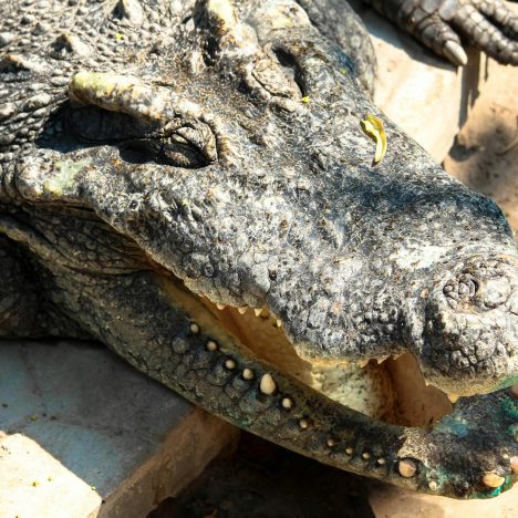 Imprezy integracyjne w Krakowie – inspiracje