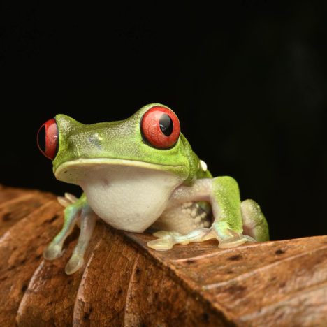 Wszystko o rejsach: Jak wybrać najlepszy