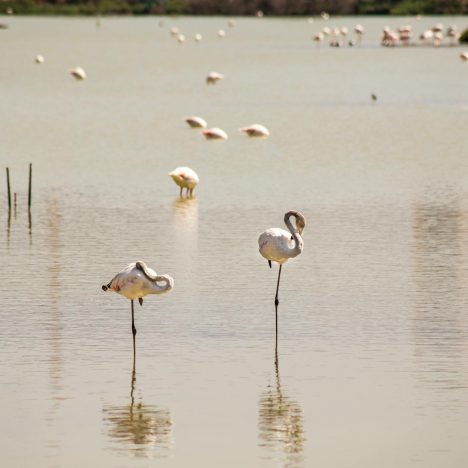 Klub nocny w Małopolsce – nietypowe miejsce na spotkanie biznesowe w Krakowie
